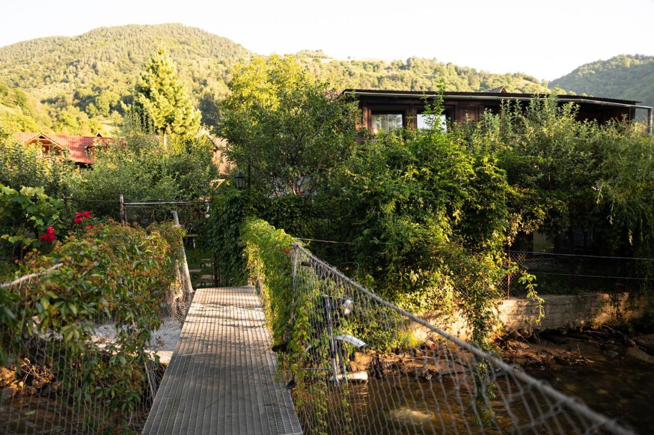 Casa De Vacanta Vidrighin Rau Sadului Exterior photo