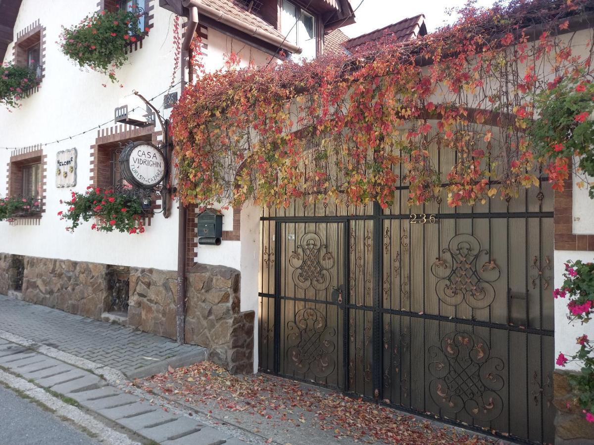 Casa De Vacanta Vidrighin Rau Sadului Exterior photo
