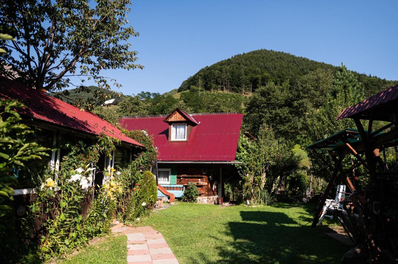 Casa De Vacanta Vidrighin Rau Sadului Exterior photo