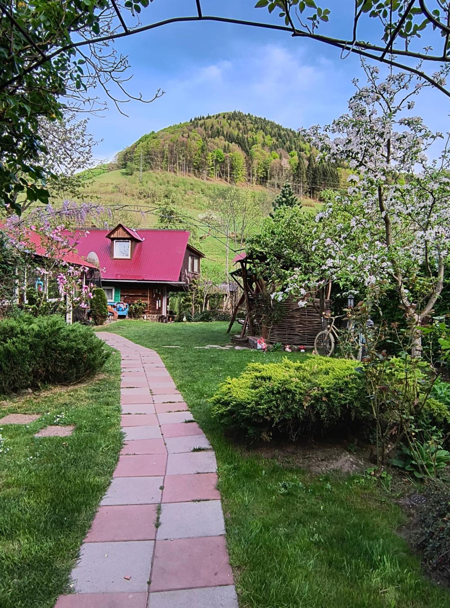 Casa De Vacanta Vidrighin Rau Sadului Exterior photo